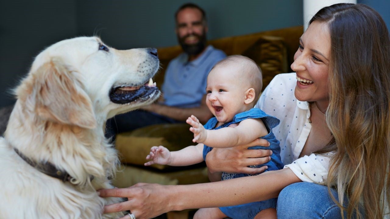 Mother and baby with dog and dad looking on from background